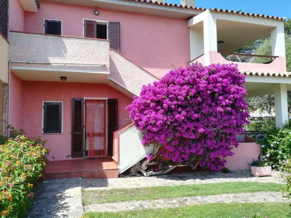 Casa Smeralda Cannigione Εξωτερικό φωτογραφία